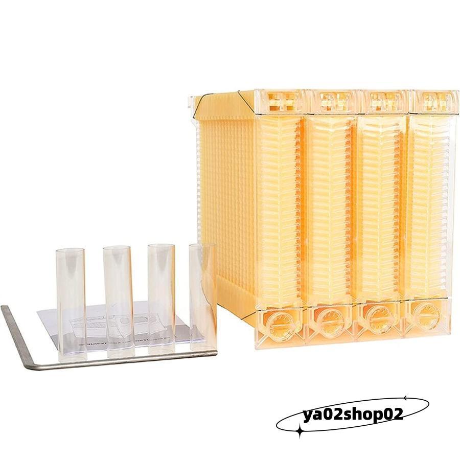 フローハイブ　蜜蜂巣箱 ミツバチ巣箱 蜜蜂飼育箱　ミツバチ飼育箱 ミツバチ養殖 ミツバチ 巣箱 蜜蜂巣箱 4/6/7個 フローハイブ 蜂巣 巣脾 巣礎 巣枠