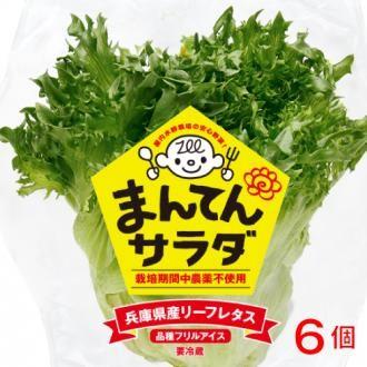 フリルアイス6個 まんてんサラダレタス Ymf 0001 おみやげたじま やぶらぶwalker 通販 Yahoo ショッピング