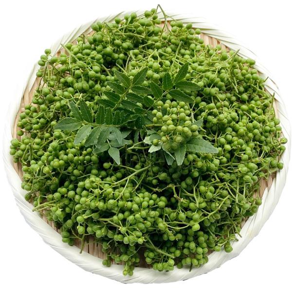 おのやま庭園 朝倉山椒の実山椒 600g(生)兵庫県養父市特産物 毎年5月下旬頃から 収穫当日出荷 冷蔵発送 | 