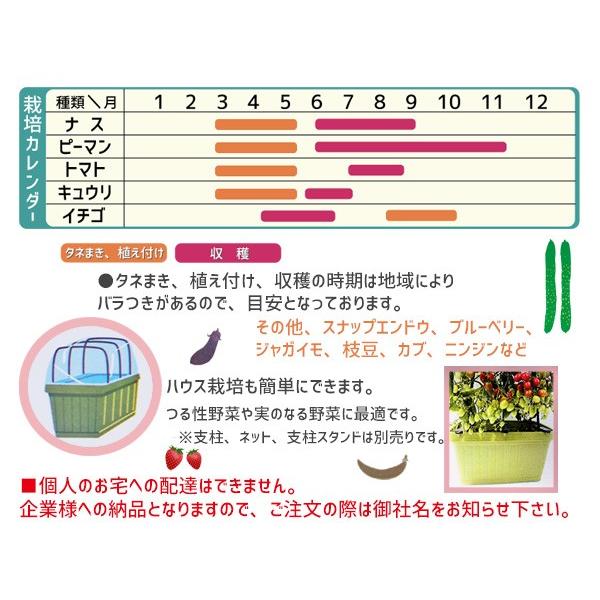 野菜 プランター 菜園 プランター 34L 630SN深型 12個セット 63×30×33H(cm) 深型 鉢 スノコ付 グリーン アイカ aika 配送不可地域有 法人のみ配送 送料無料｜yabumoto1｜03