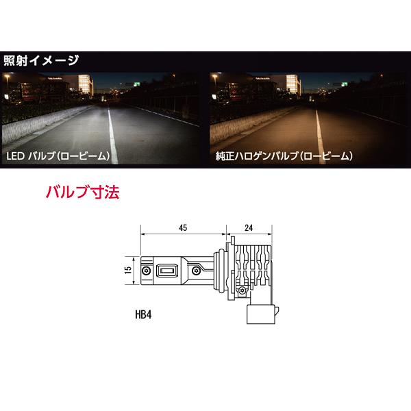 Valenti LED ヘッド&フォグバルブ RC H8 H9 H11 H16 6000K 3600lm 2年