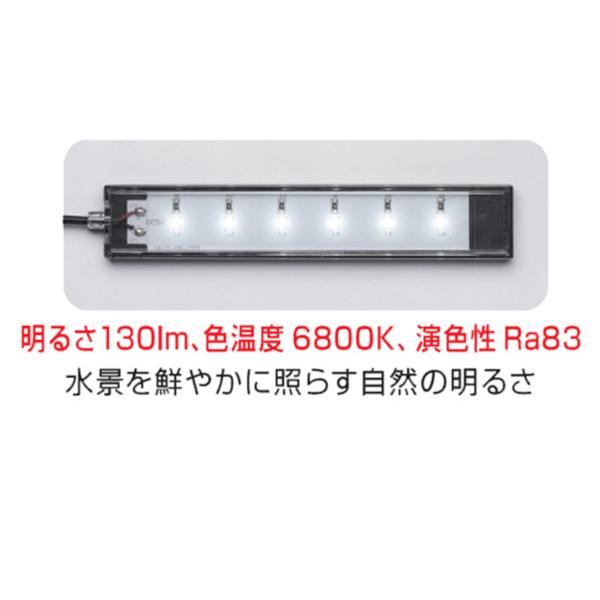 GEX クリアLED フラッティ ブラック 熱帯魚 観賞魚用品 水槽用品
