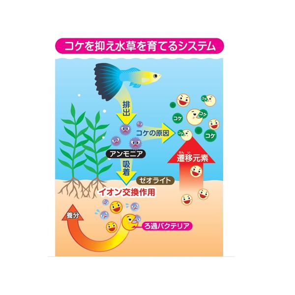 GEX ベストサンド 3L 熱帯魚 観賞魚用品 水槽用品 砂 ジェックス｜yabumoto21｜03