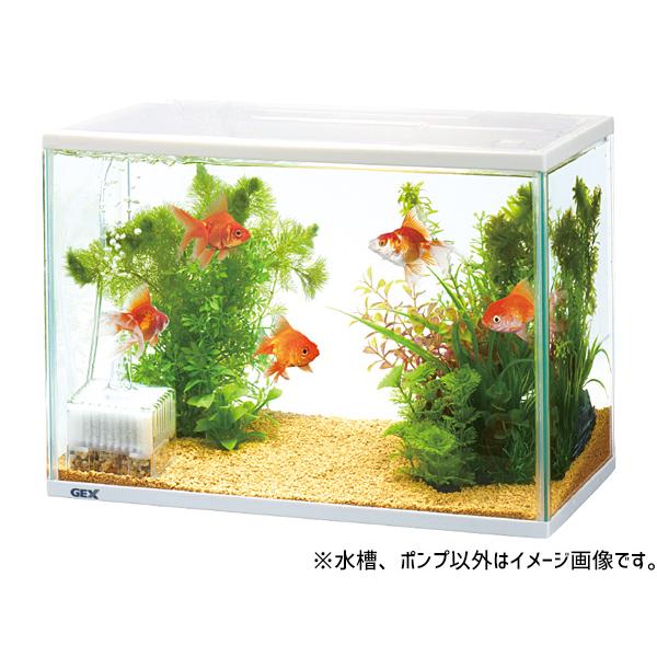 GEX 金魚元気 ぶくぶく水キレイセットL 熱帯魚 観賞魚用品 水槽 セット水槽 ジェックス 同梱不可 送料無料｜yabumoto21｜02