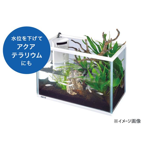 GEX サイレントフィットアルファ300 Amazon | GEX AQUARIUM ポリスチレン サイレントフィット