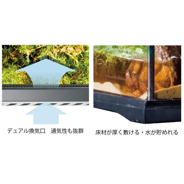 グラステラリウム 3030 ほぼ未使用 PT2600 ジェックス グラステラリウム 3030 PT2600 2個セット: 日用品