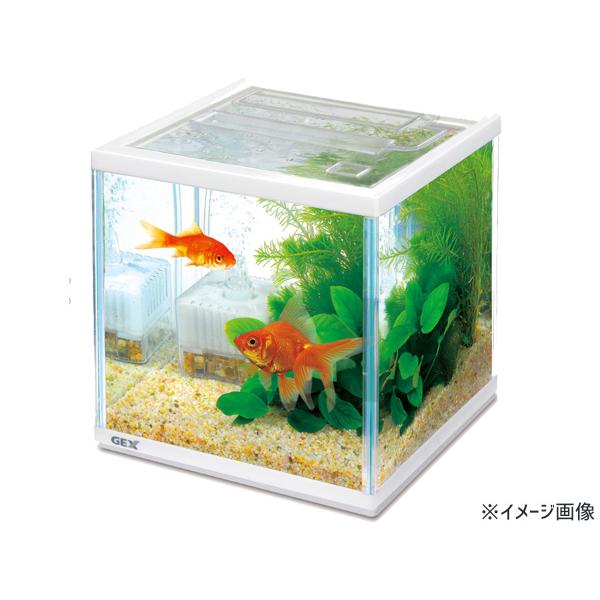 GEX 金魚元気 キューブセット 200 熱帯魚 観賞魚用品 水槽 セット水槽 ジェックス｜yabumoto24｜02