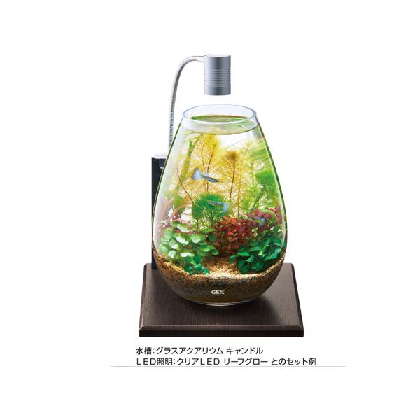 GEX グラスベース エボニー200 熱帯魚 観賞魚用品 水槽 水槽台 ジェックス｜yabumoto24｜02