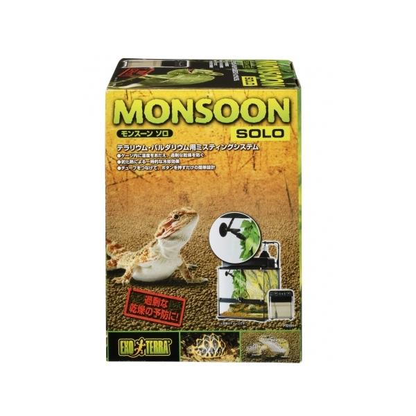 モンスーンソロ　箱無し 楽天市場】GEX エキゾテラ モンスーンソロ ミスティング