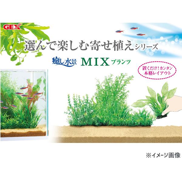 GEX 癒し水景 MIXプランツL ロタラ 熱帯魚 観賞魚用品 水槽用品 アクセサリー ジェックス｜yabumoto25｜03