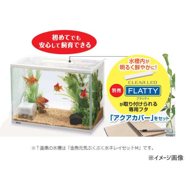 GEX 金魚元気 ぶくぶく水キレイセットS 熱帯魚 観賞魚用品 水槽 セット水槽 ジェックス｜yabumoto25｜03