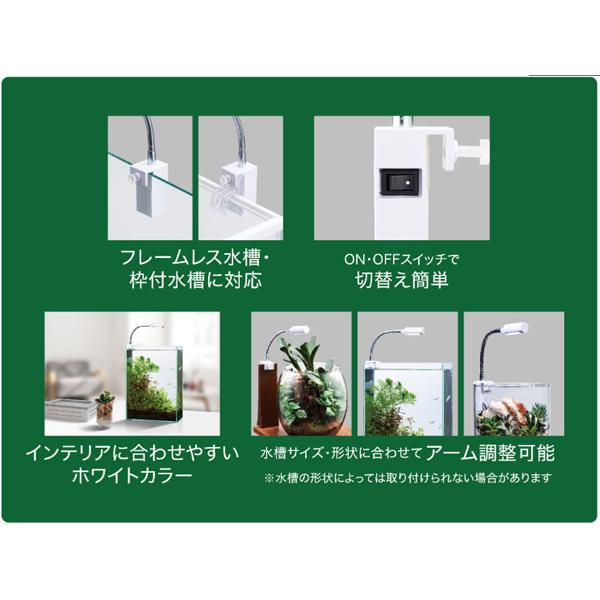 GEX クリアLED ピテラ 熱帯魚 観賞魚用品 水槽用品 ライト ジェックス｜yabumoto26｜04