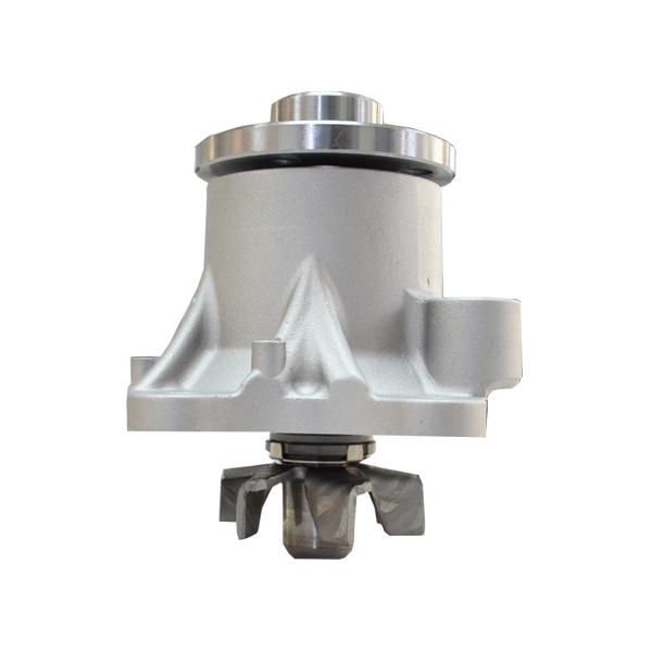 美品 掛け軸 臼田弘毅作 京洛冬景図 金閣寺 共箱 花鳥 南天 縁起物