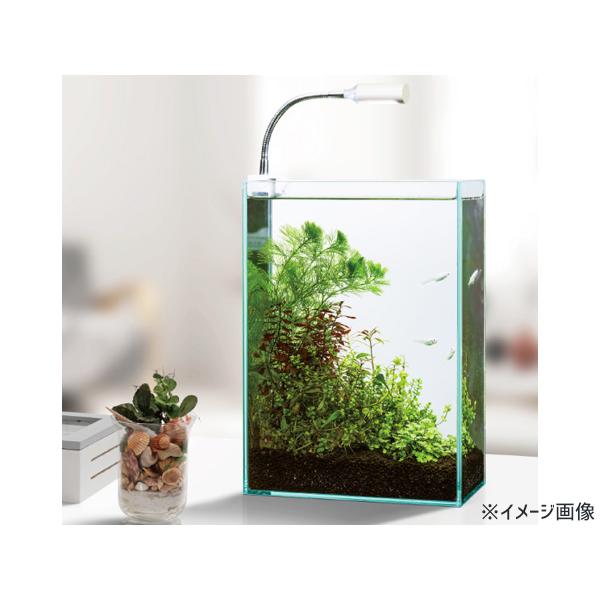 GEX クリアLED ピテラ 熱帯魚 観賞魚用品 水槽用品 ライト ジェックス｜yabumoto30｜02