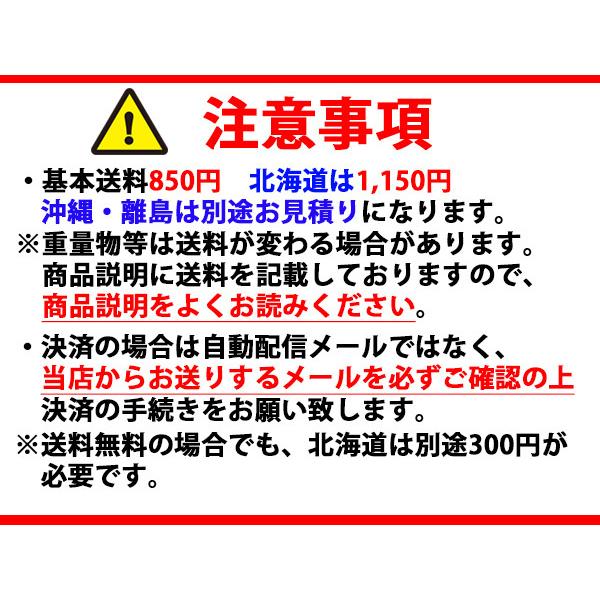 NWB グラファイトワイパー 替えゴム TW11G (GR3) 300mm 幅6mm | 日本ワイパーブレード | 01