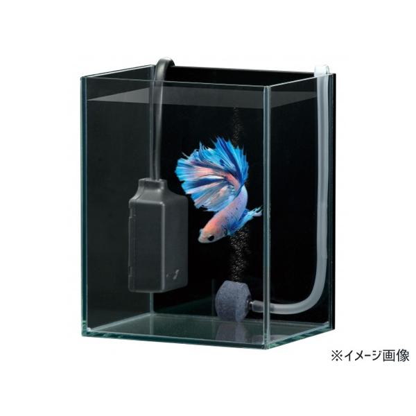 GEX ベタヒーター SH10 熱帯魚 観賞魚用品 水槽用品 ヒーター類 GEX ベタヒーター SH10 熱帯魚 観賞魚用品 水槽用品 ヒーター類