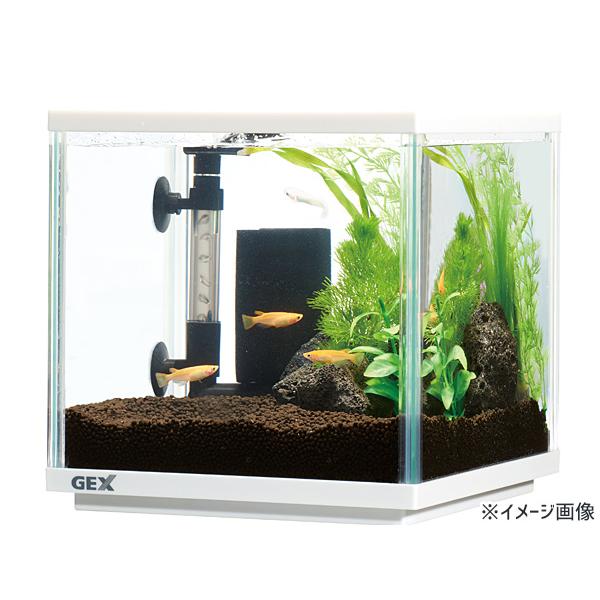 GEX メダカ元気 メダカのための水槽セット200CUBE 熱帯魚 観賞魚