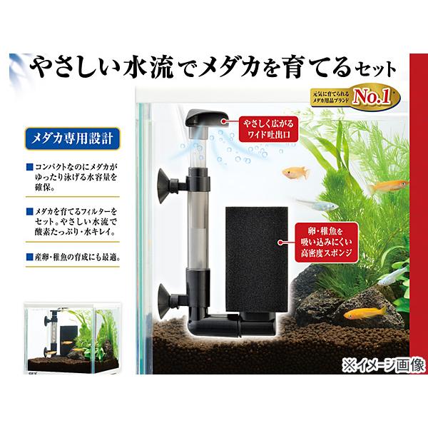 アクアリウム GEX 水槽 セット売り gex 水槽セット 観賞魚」の人気商品一覧 | 安い商品を通販サイト