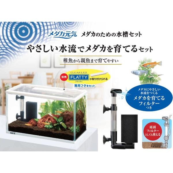 熱帯魚　グッピー　メダカ　水槽セット グッピー 水槽セット（ペット用品、生き物）のおすすめ人気商品