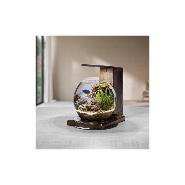 グラスアクア PERCO B-Dark Wood グラスアクア PERCO B-Dark Wood ( 1セット ) : 爽快ドラッグ