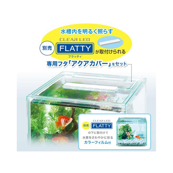 金魚元気 GEX ぶくぶくクリア 250CUBE 約 幅25×奥行25×高さ20cm