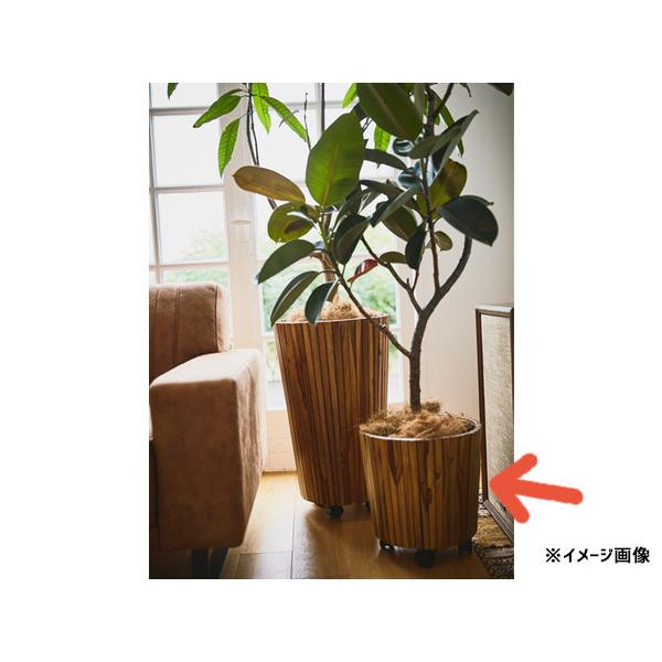 東谷 ウッドプランターS 天然木 植木鉢 キャスター付 移動可能 GUY-813