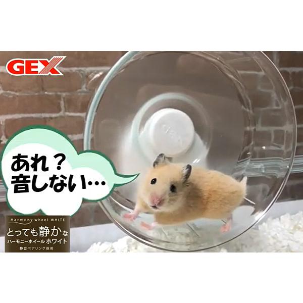 GEX ハーモニーホイール14 小動物用品 玩具 ジェックス｜yabumoto｜05