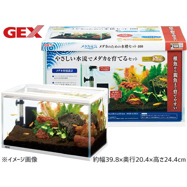 GEX（ジェックス） メダカ元気 メダカのための水槽セット400 熱帯魚