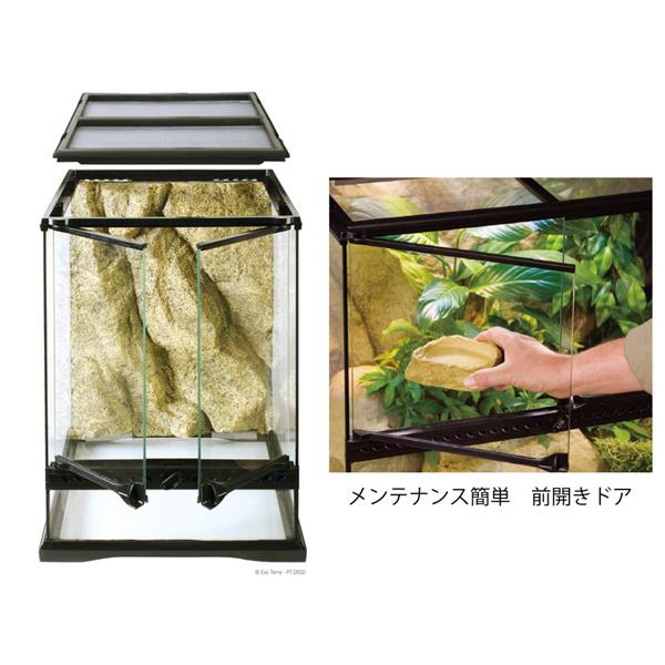 EXO TERRA グラステラリウム 3045 PT2602 約 幅31.5×奥行31.5×高