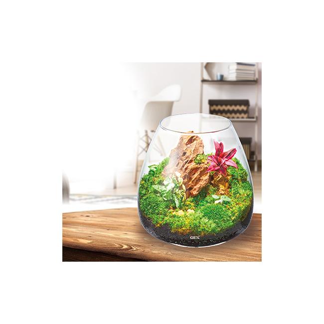 GEX グラスアクア ティアー 緑を楽しむ 観賞魚用品 水槽 ガラス GEX グラスアクア ティアー 緑を楽しむ 観賞魚用品 水槽 ガラス