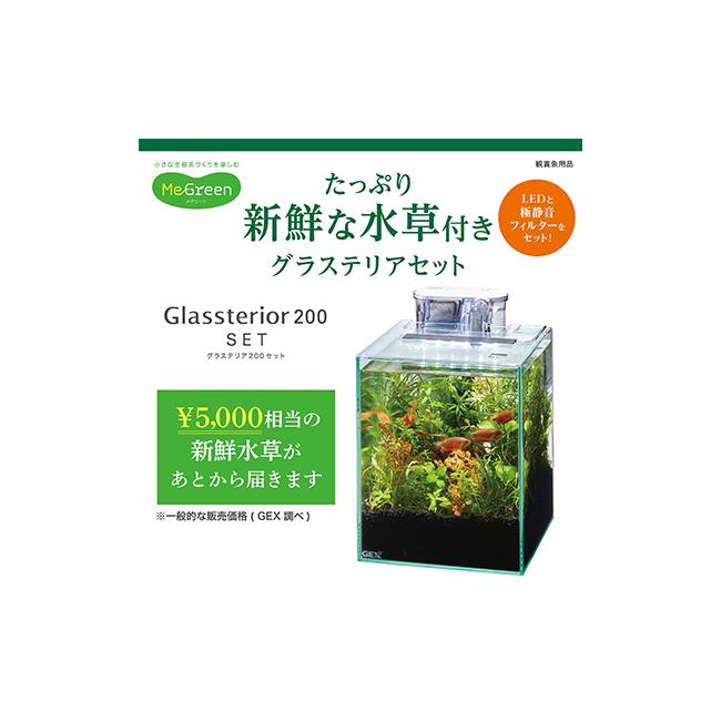 Purple software クロノクロック 懐中時計 161/500 限定 COMUM