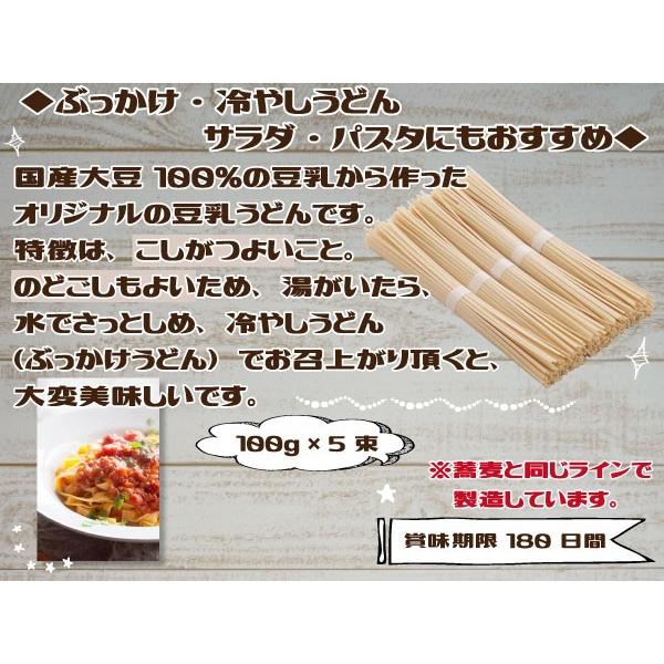 豆乳 うどん 100g 5束 乾麺 こしがつよく のどごしがいい国産大豆 夢石庵 むせきあん 800 税率8 プロツールショップヤブモト 通販 Paypayモール