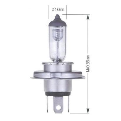 RACING GEAR（レーシングギア） 補修用 ハロゲンバルブ ランプ ライト