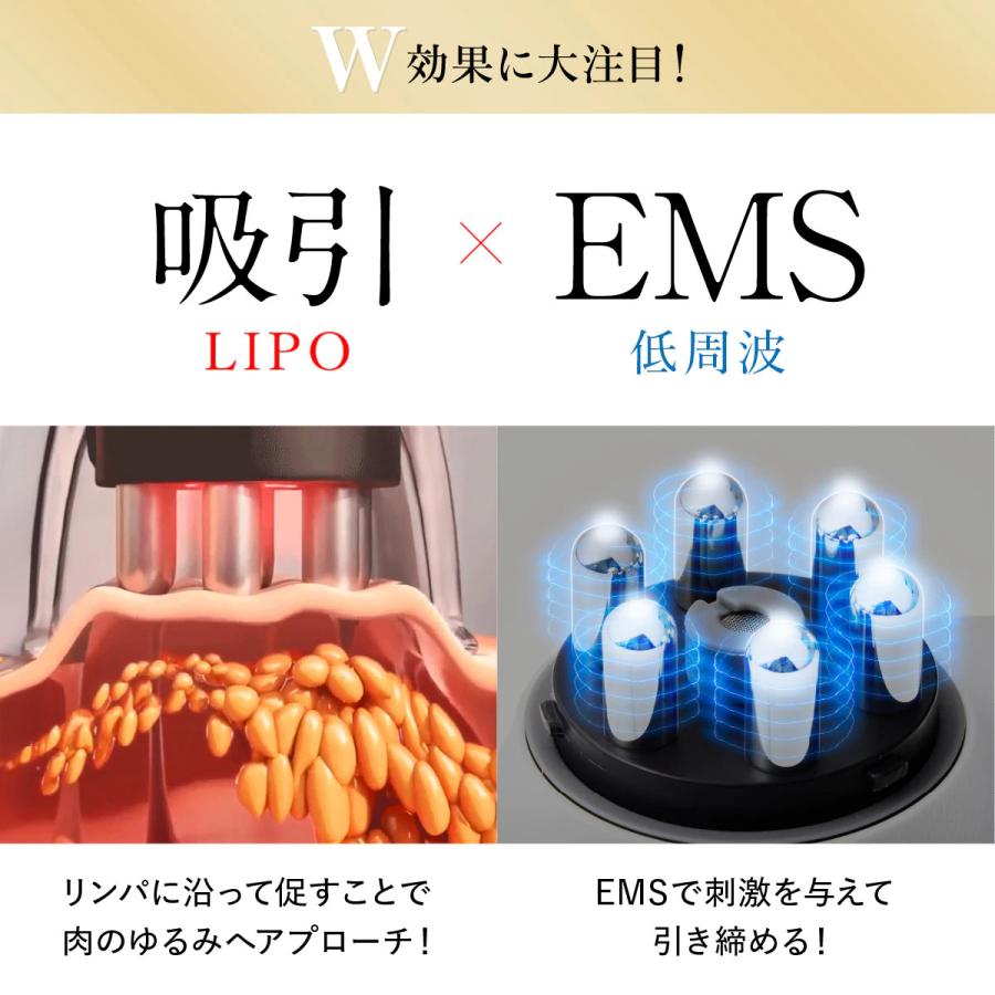 WAVEWAVE WAVEWAVE EMS Slim Esthe Plus EMSスリムエステ プラス WH-52