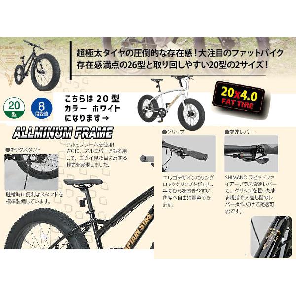 CAPTAIN STAG キャプテンスタッグ ファットバイク208 ホワイト 20型 6