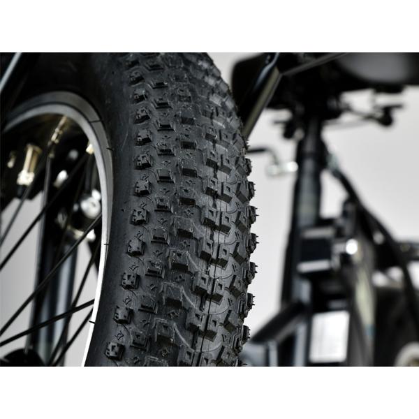 CAPTAIN STAG（キャプテンスタッグ） eバーギー 電動自転車 FDB206