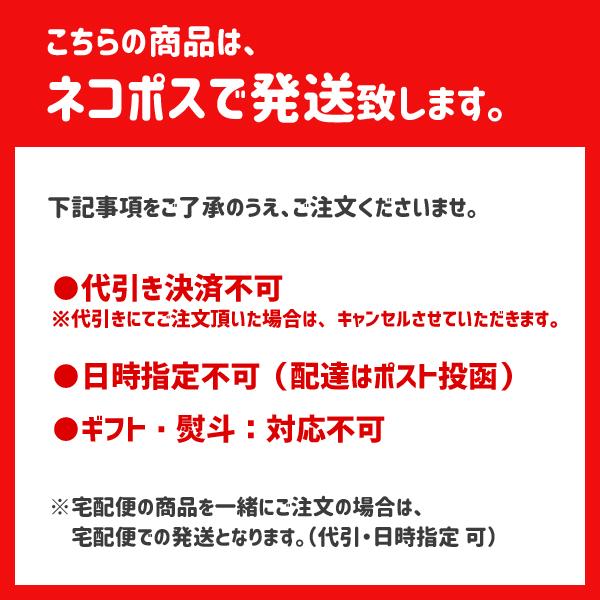 高耐熱スプーン (S) TPX樹脂製 G-FLOAT キャプテンスタッグ / 日本製 スプーン カトラリー クリア 食洗機対応 便利 アウトドア キャンプ おしゃれ CAPTAIN STAG｜yacom-tokyo｜10