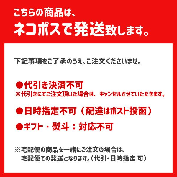 ダイカットスプーン＆フォーク ステンレス製 キャラクター スケーター / セット 子供用  ピカチュウ プラレール トミカ すみっコぐらし スヌーピー ハローキティ｜yacom-tokyo｜13