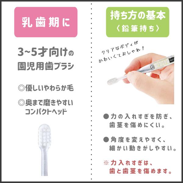 園児用 クリア歯ブラシ (3本入×2個セット) リロ＆スティッチ