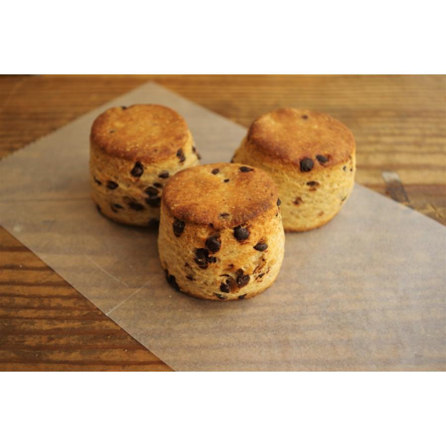ラッピング無料 チョコスコーン3個セット 石窯パン ハル Yoshitomo自然栽培小麦使用 国産小麦 天然酵母 全粒粉 無農薬 Wantannas Go Id