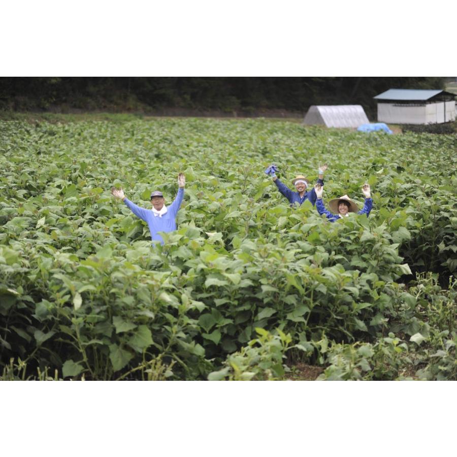 ヤーコン訳あり生芋2kg長野県産 送料無料※東北以北440円、九州220円