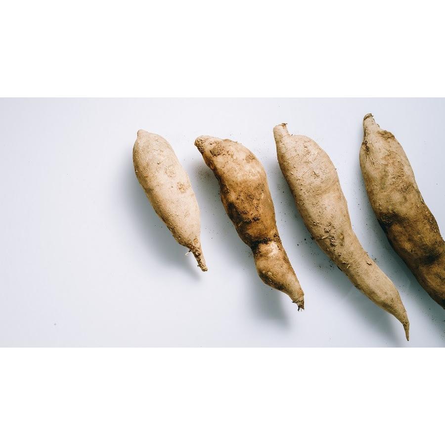 クーポン対象外 送料無料 ヤーコンシロップ 信州産自然栽培ヤーコン使用 業務用900g 北海道 九州送料2円追加 農薬不使用 肥料不使用 Materialworldblog Com