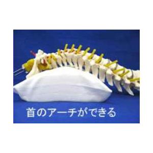 首の生理湾曲を調整する枕☆あしやまくら☆ホワイト : ゲンセンカン