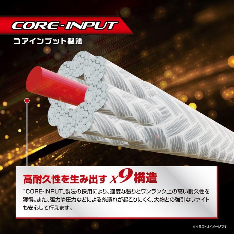 VARIVAS（バリバス） アバニ ジギング 10×10 マックスパワー PE X9 6号
