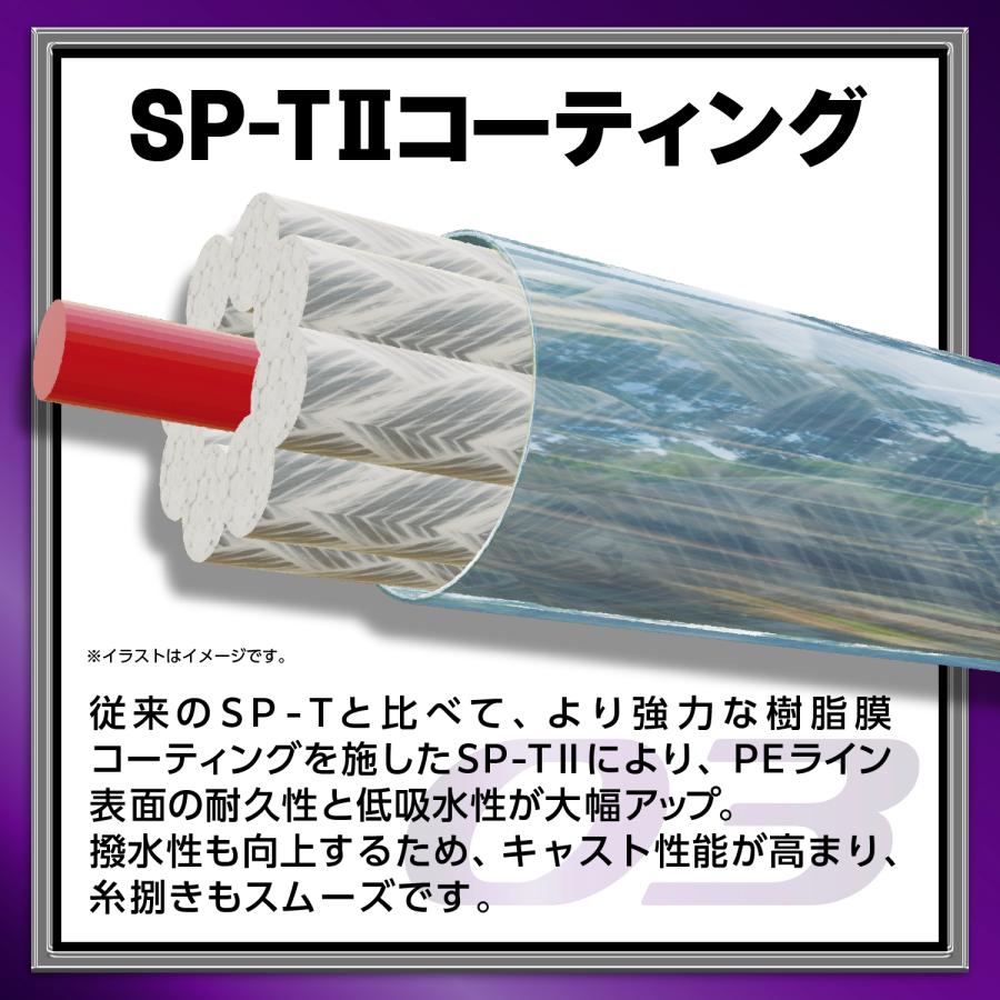 VARIVAS（バリバス） アバニ シーバス マックスパワー PE X9 0.8号