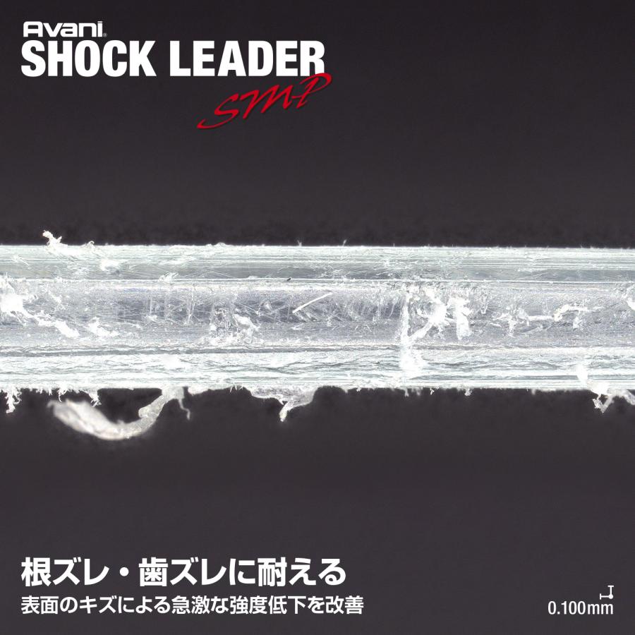 VARIVAS（バリバス） アバニ ショックリーダー SMP ナイロン 20号 80LB