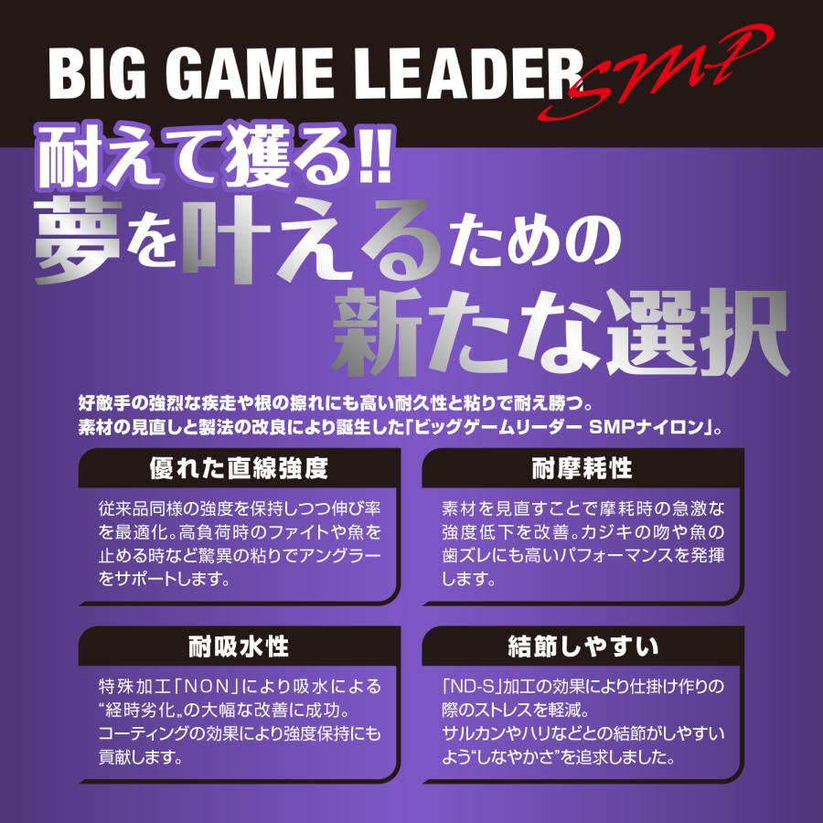 VARIVAS（バリバス） ビッグゲームリーダー SMPナイロン 70号 250LB