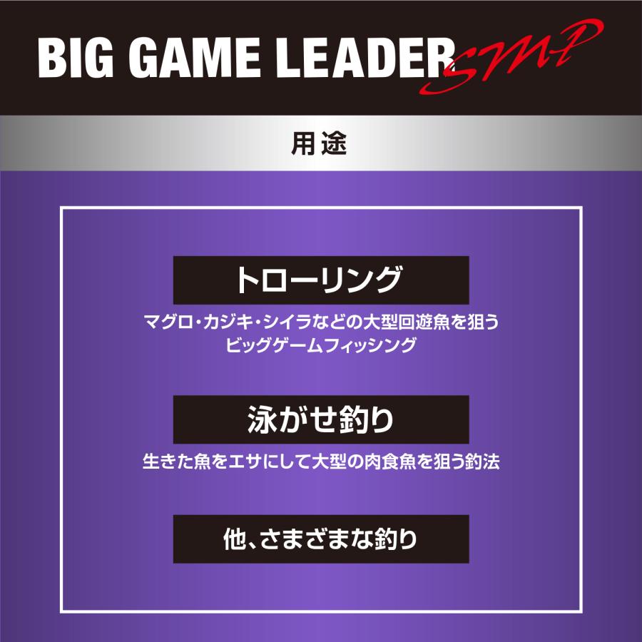 VARIVAS（バリバス） ビッグゲームリーダー SMPナイロン 150号 450LB