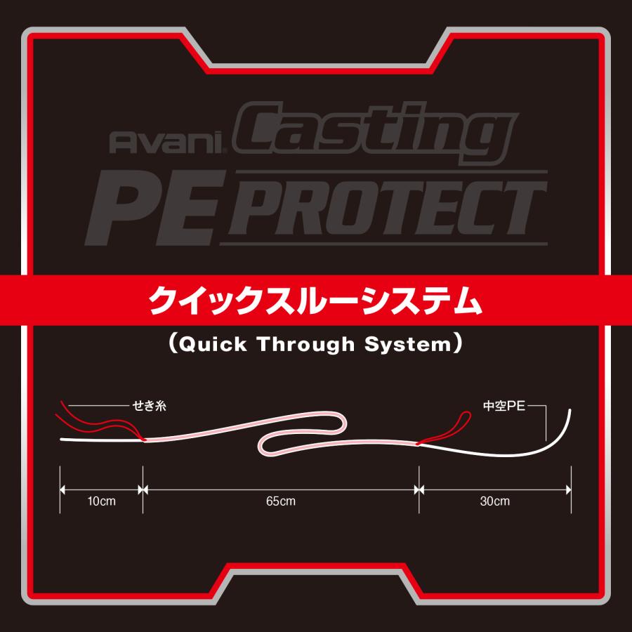 バリバス キャスティングPEライン  5号 VARIVAS（バリバス） アバニ キャスティング PEプロテクト 5号 (1492