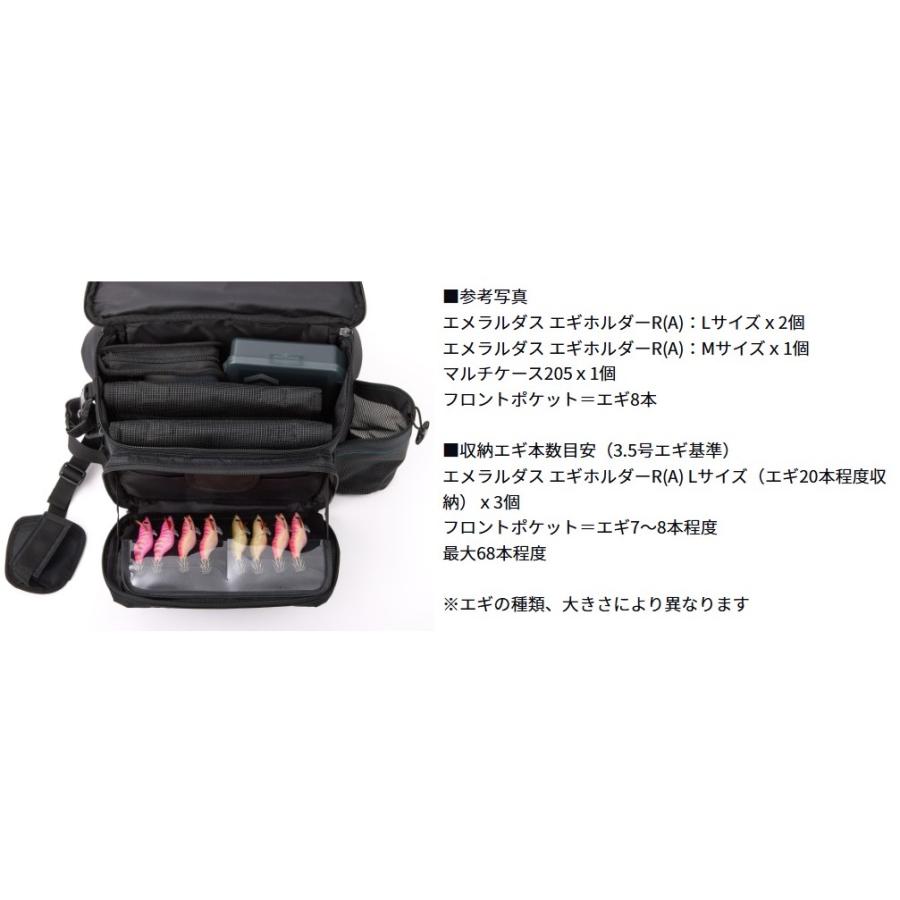 DAIWA（ダイワ） エメラルダス タクティカル ヒップバッグ(C